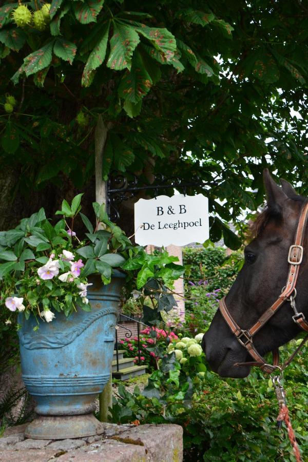 B&B De Leeghpoel Rumpt Exterior foto